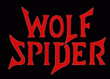 logo Wolf Spider